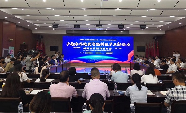 ky平台-ky平台(中国)科技喜获千万级担保授信